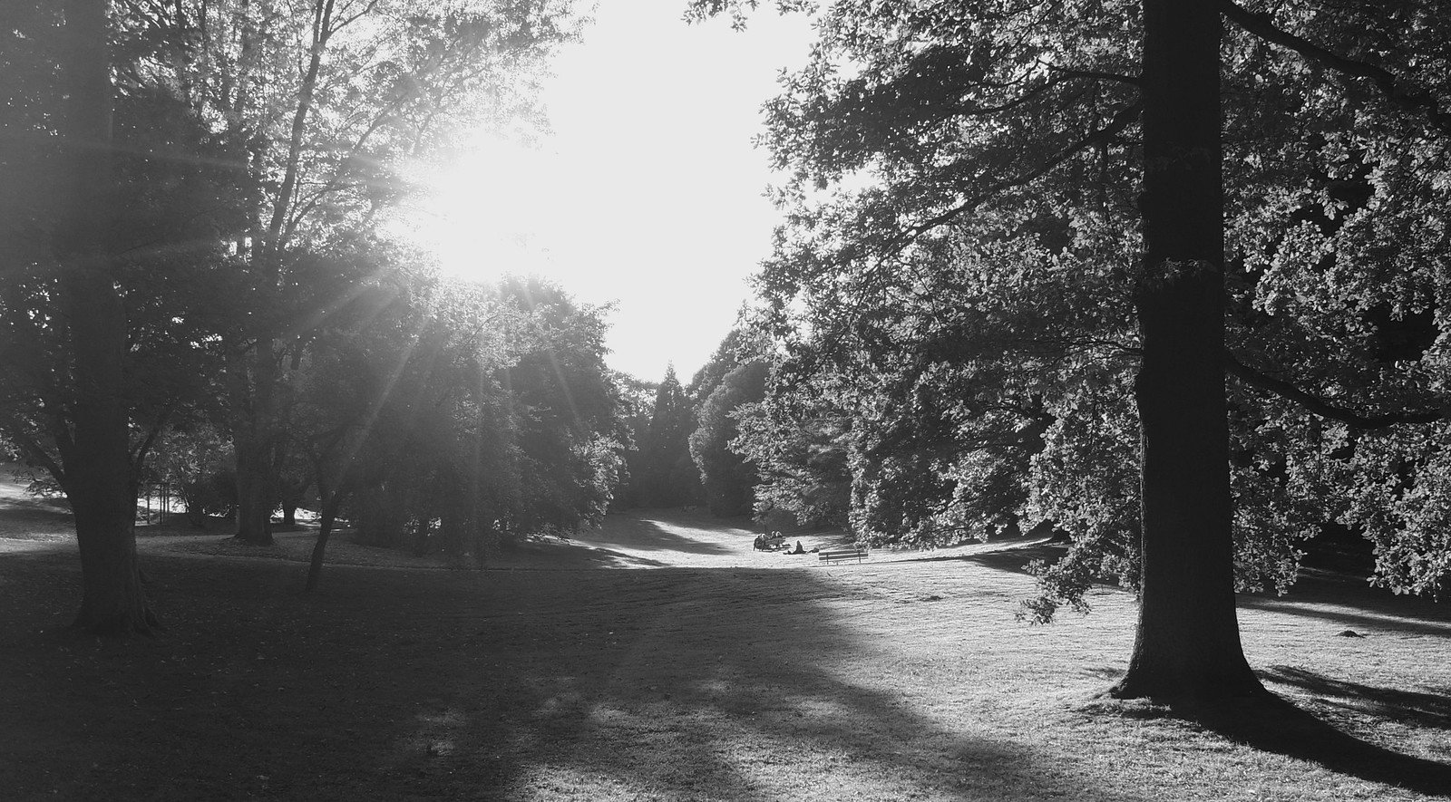 🌳 롬베르크파르크 식물원(보타니셔 가르텐 롬베르크파르크)